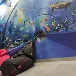 Zlote Piaski, Basen, Sauna,jacuzzi, Rolmasazer Jastrzębia Góra